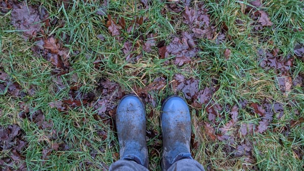 The Twig That Made Me Smile